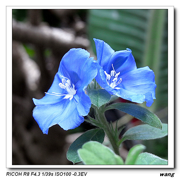 «ö¦¹¦b·sµøµ¡ÂsÄý¹Ï¤ù