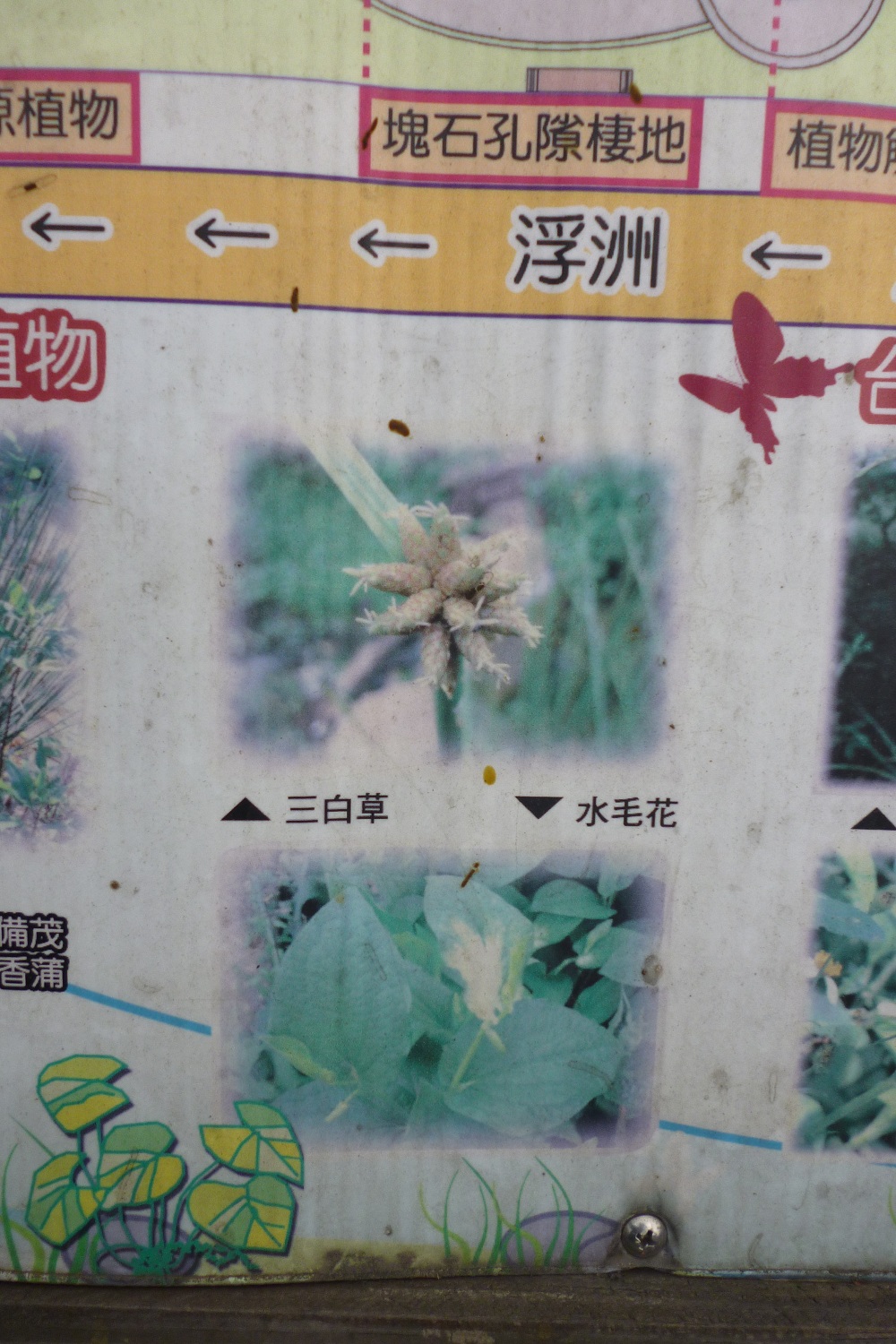 «ö¦¹¦b·sµøµ¡ÂsÄý¹Ï¤ù