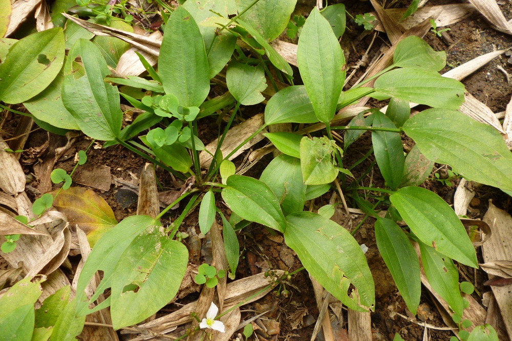 «ö¦¹¦b·sµøµ¡ÂsÄý¹Ï¤ù