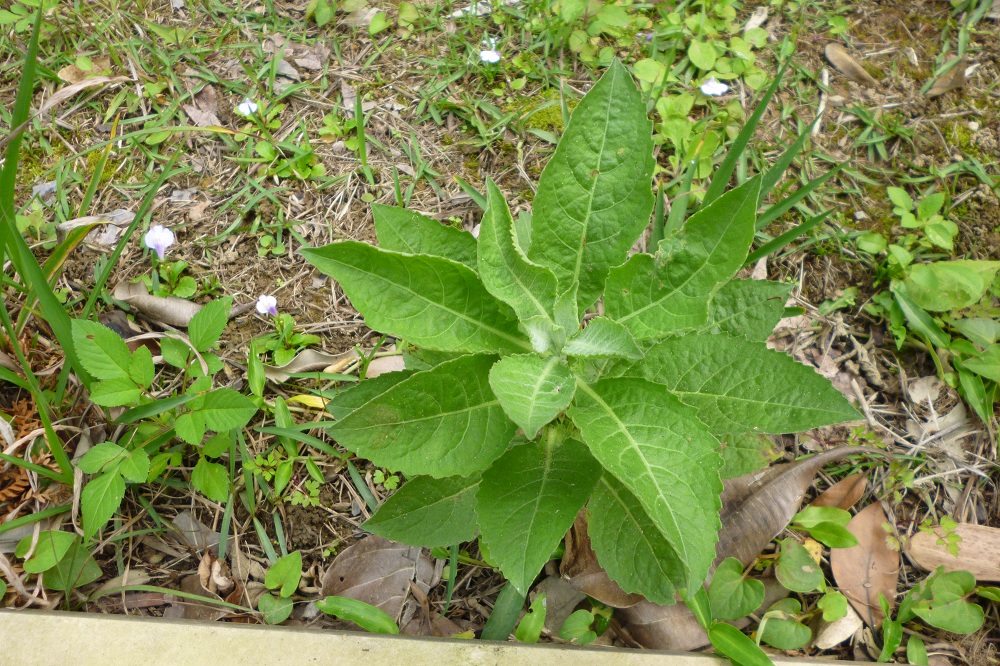 «ö¦¹¦b·sµøµ¡ÂsÄý¹Ï¤ù