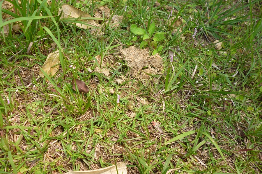 «ö¦¹¦b·sµøµ¡ÂsÄý¹Ï¤ù