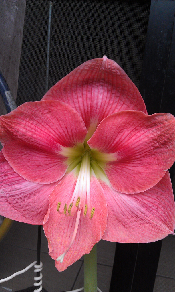 «ö¦¹¦b·sµøµ¡ÂsÄý¹Ï¤ù