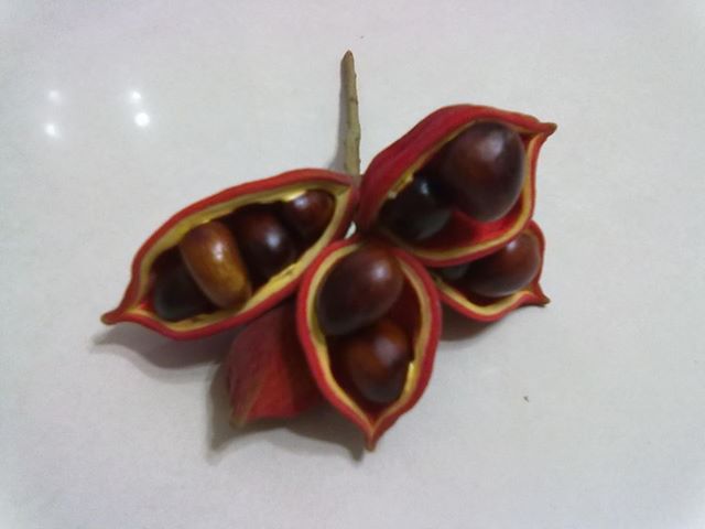 «ö¦¹¦b·sµøµ¡ÂsÄý¹Ï¤ù