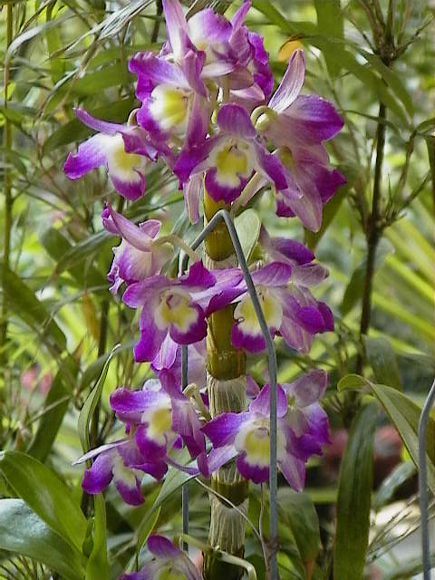 «ö¦¹¦b·sµøµ¡ÂsÄý¹Ï¤ù