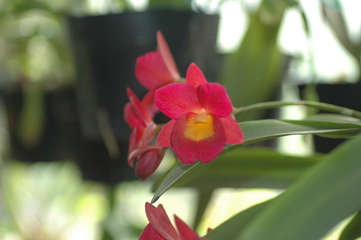 «ö¦¹¦b·sµøµ¡ÂsÄý¹Ï¤ù