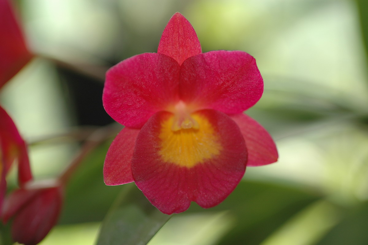 «ö¦¹¦b·sµøµ¡ÂsÄý¹Ï¤ù