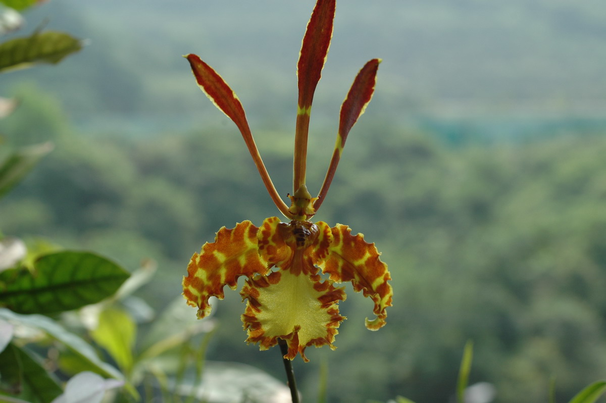 «ö¦¹¦b·sµøµ¡ÂsÄý¹Ï¤ù