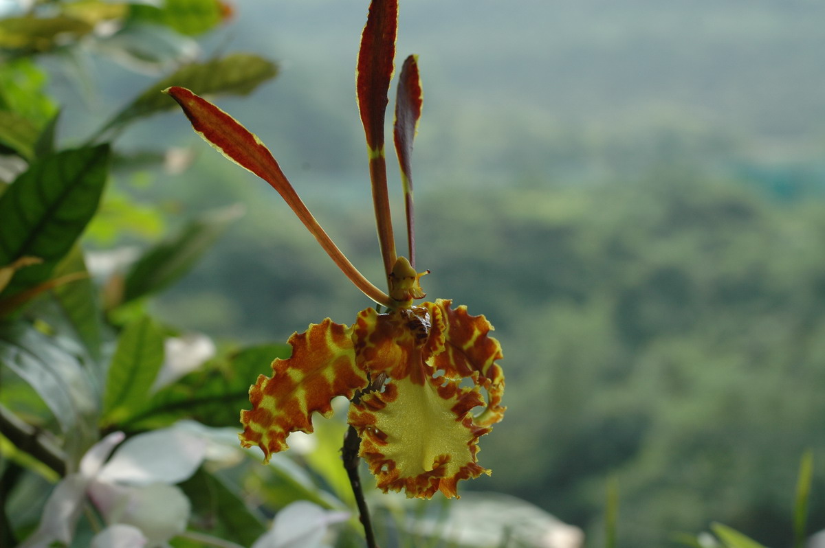 «ö¦¹¦b·sµøµ¡ÂsÄý¹Ï¤ù