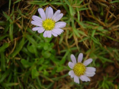 «ö¦¹¦b·sµøµ¡ÂsÄý¹Ï¤ù