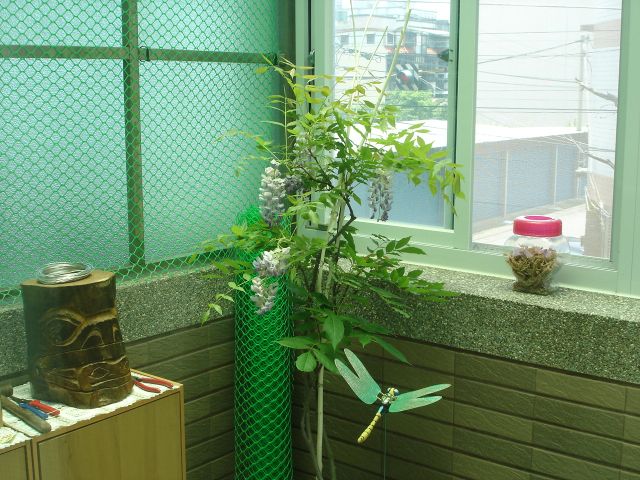 按此在新視窗瀏覽圖片