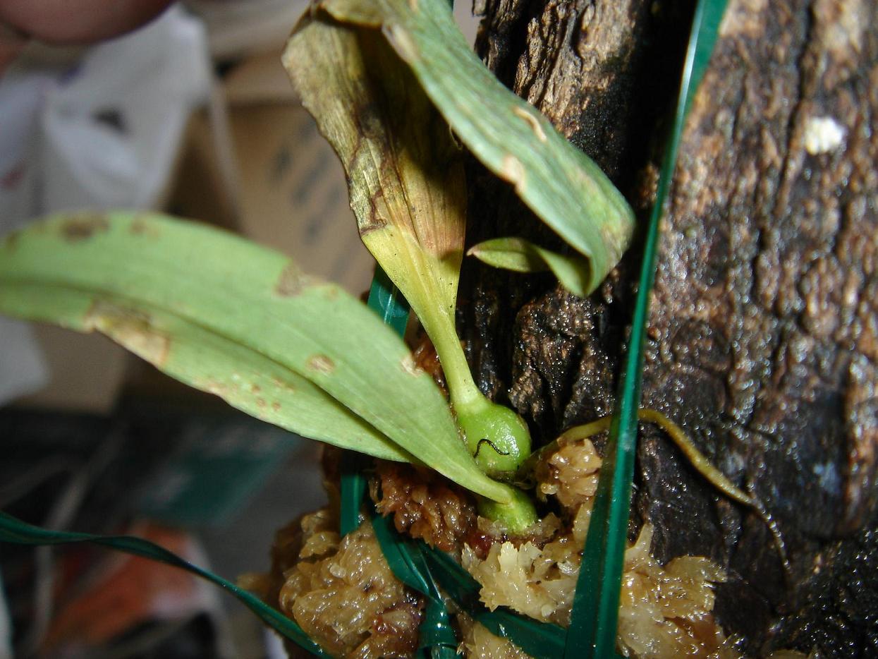 «ö¦¹¦b·sµøµ¡ÂsÄý¹Ï¤ù