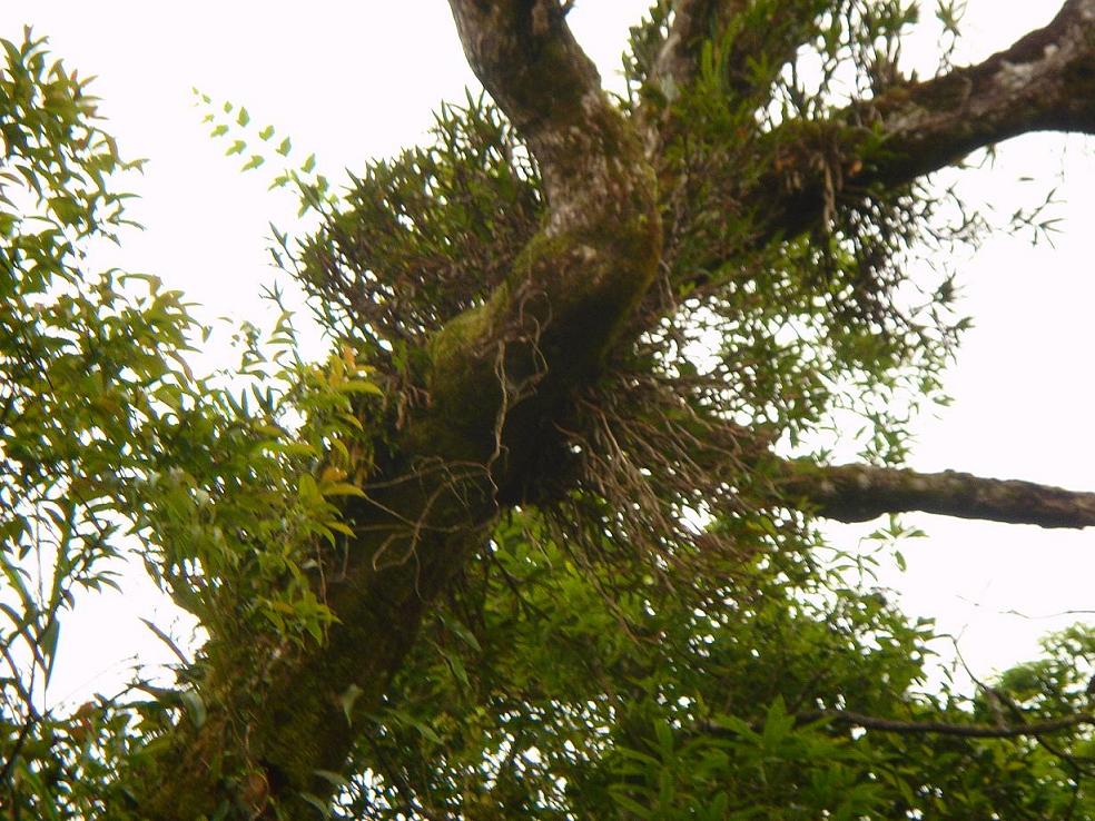 «ö¦¹¦b·sµøµ¡ÂsÄý¹Ï¤ù