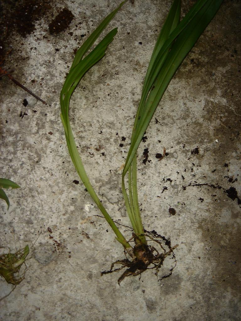 «ö¦¹¦b·sµøµ¡ÂsÄý¹Ï¤ù