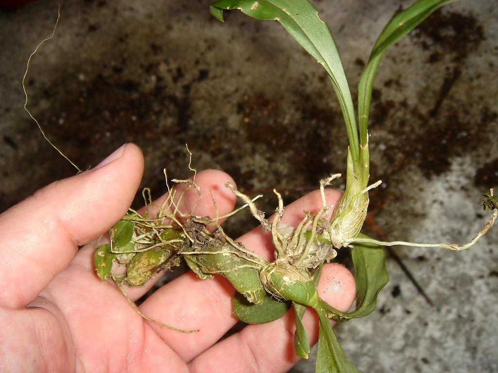 «ö¦¹¦b·sµøµ¡ÂsÄý¹Ï¤ù