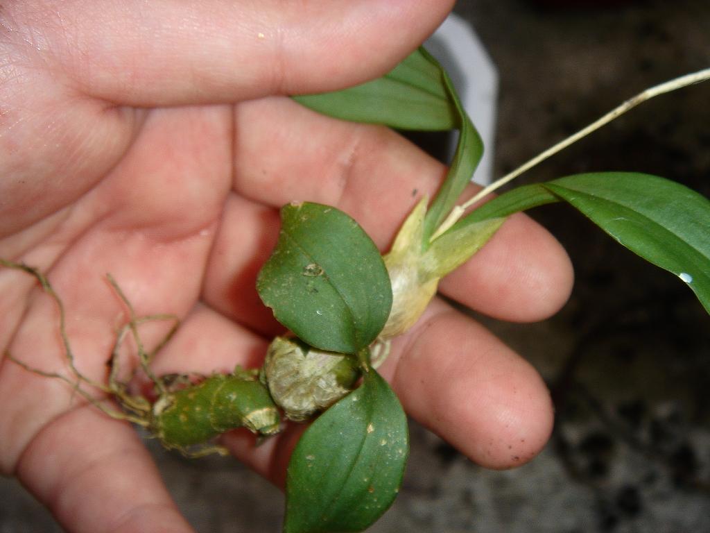 «ö¦¹¦b·sµøµ¡ÂsÄý¹Ï¤ù