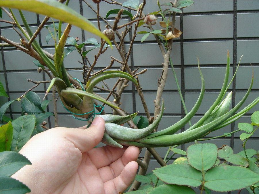 «ö¦¹¦b·sµøµ¡ÂsÄý¹Ï¤ù