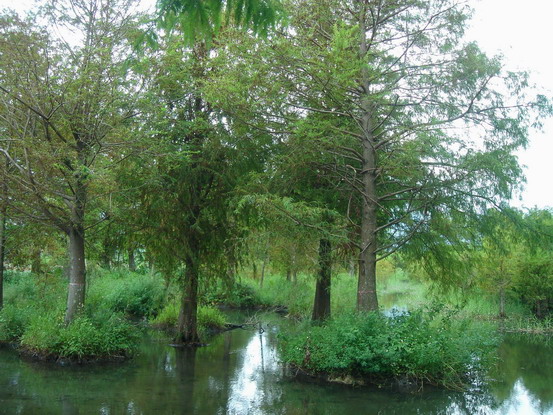 按此在新視窗瀏覽圖片