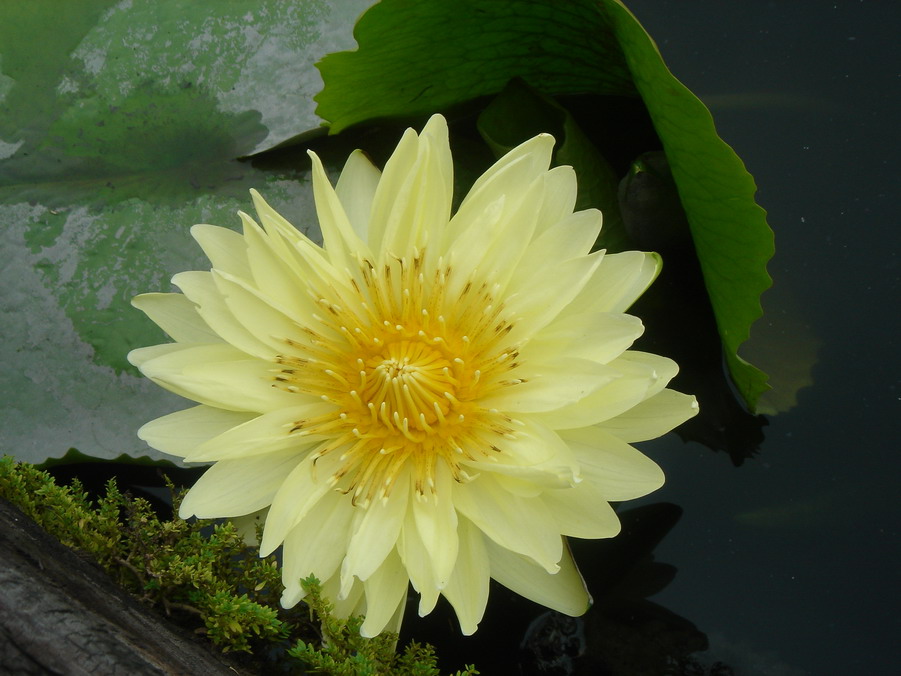 按此在新視窗瀏覽圖片