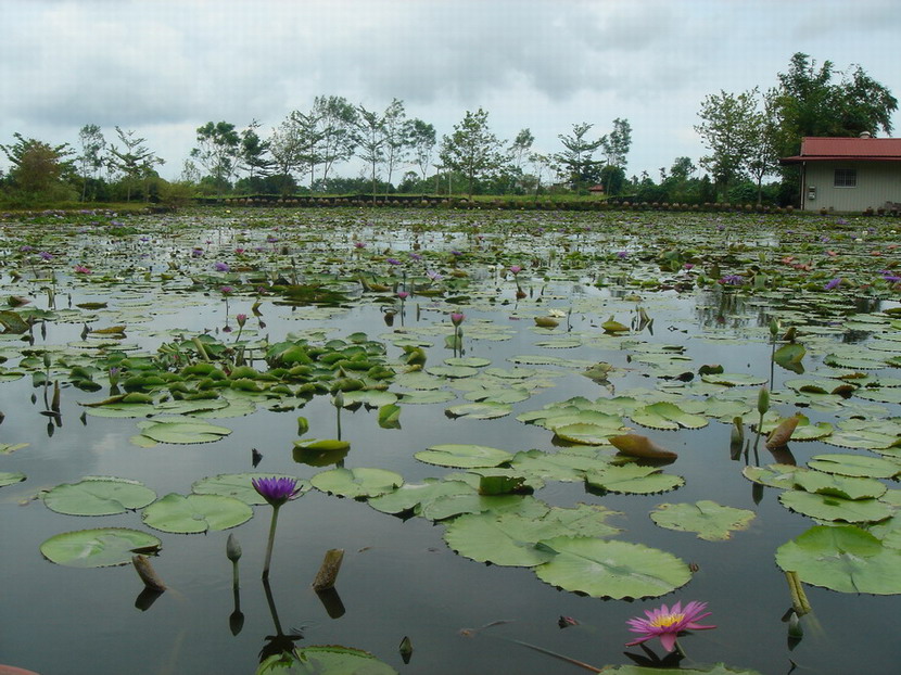 按此在新視窗瀏覽圖片