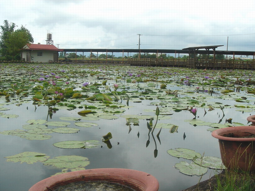 按此在新視窗瀏覽圖片
