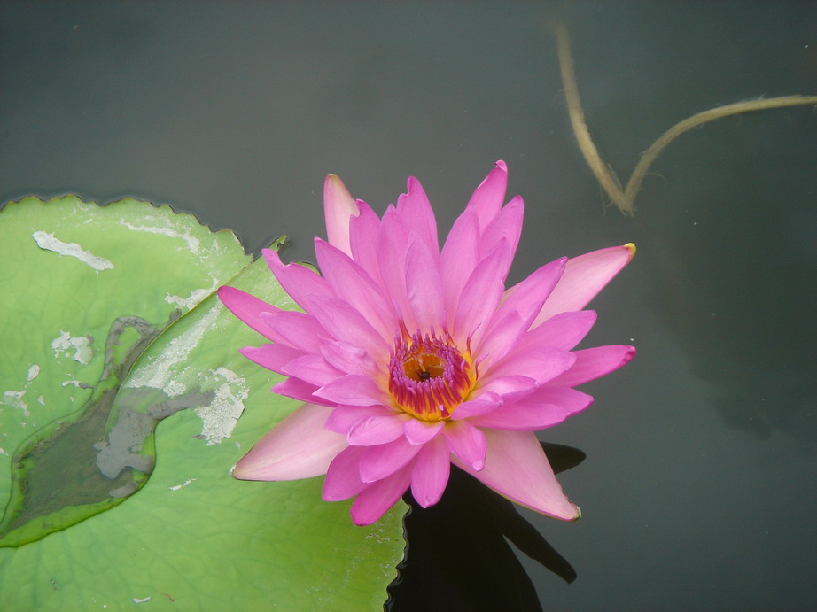 按此在新視窗瀏覽圖片