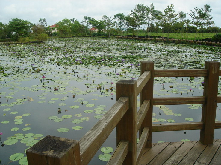 按此在新視窗瀏覽圖片