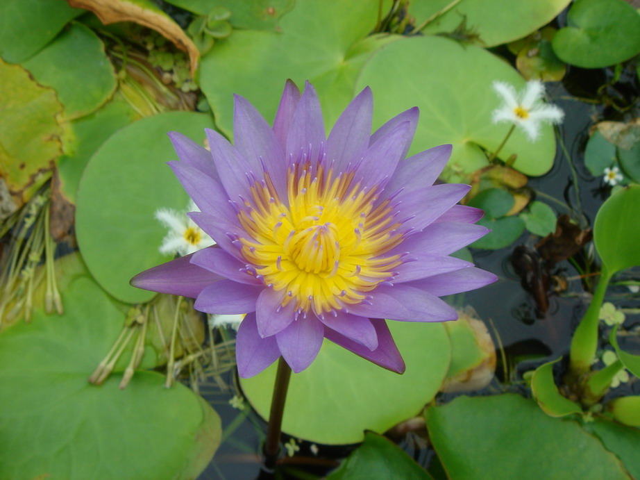 «ö¦¹¦b·sµøµ¡ÂsÄý¹Ï¤ù