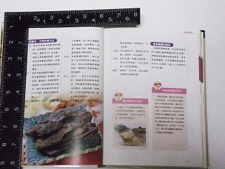 «ö¦¹¦b·sµøµ¡ÂsÄý¹Ï¤ù