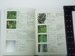 «ö¦¹¦b·sµøµ¡ÂsÄý¹Ï¤ù