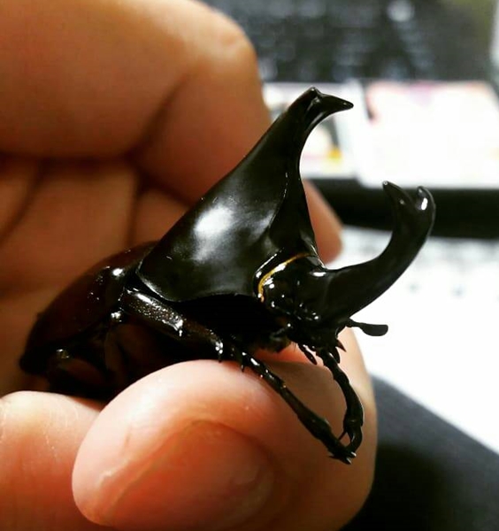 «ö¦¹¦b·sµøµ¡ÂsÄý¹Ï¤ù