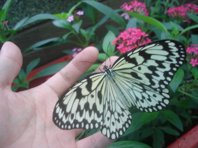 按此在新視窗瀏覽圖片