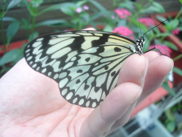 按此在新視窗瀏覽圖片