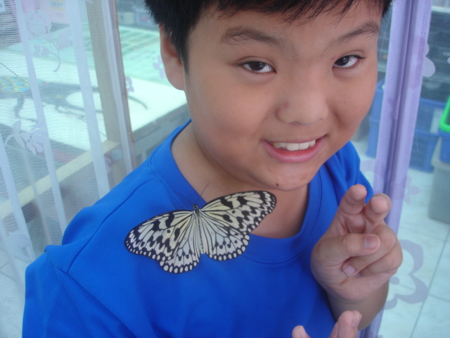 按此在新視窗瀏覽圖片