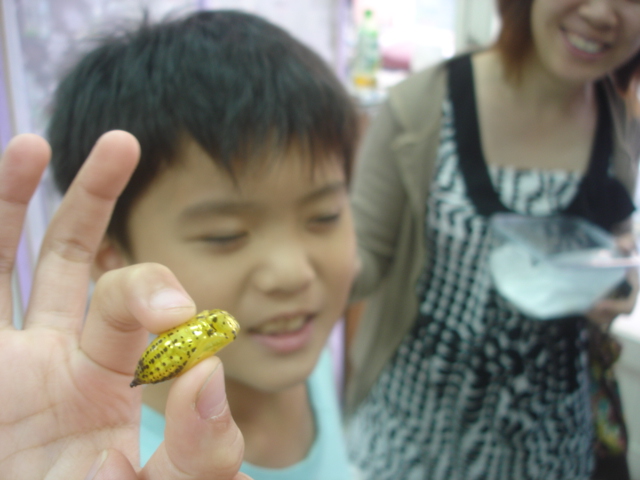 按此在新視窗瀏覽圖片