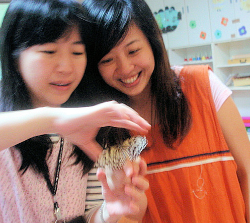 按此在新視窗瀏覽圖片