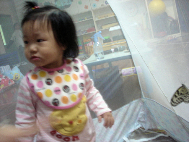 按此在新視窗瀏覽圖片