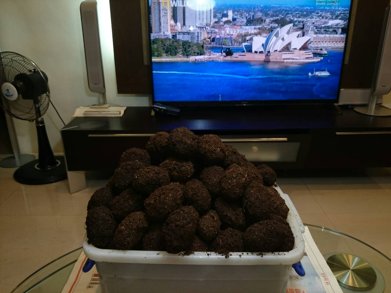 «ö¦¹¦b·sµøµ¡ÂsÄý¹Ï¤ù