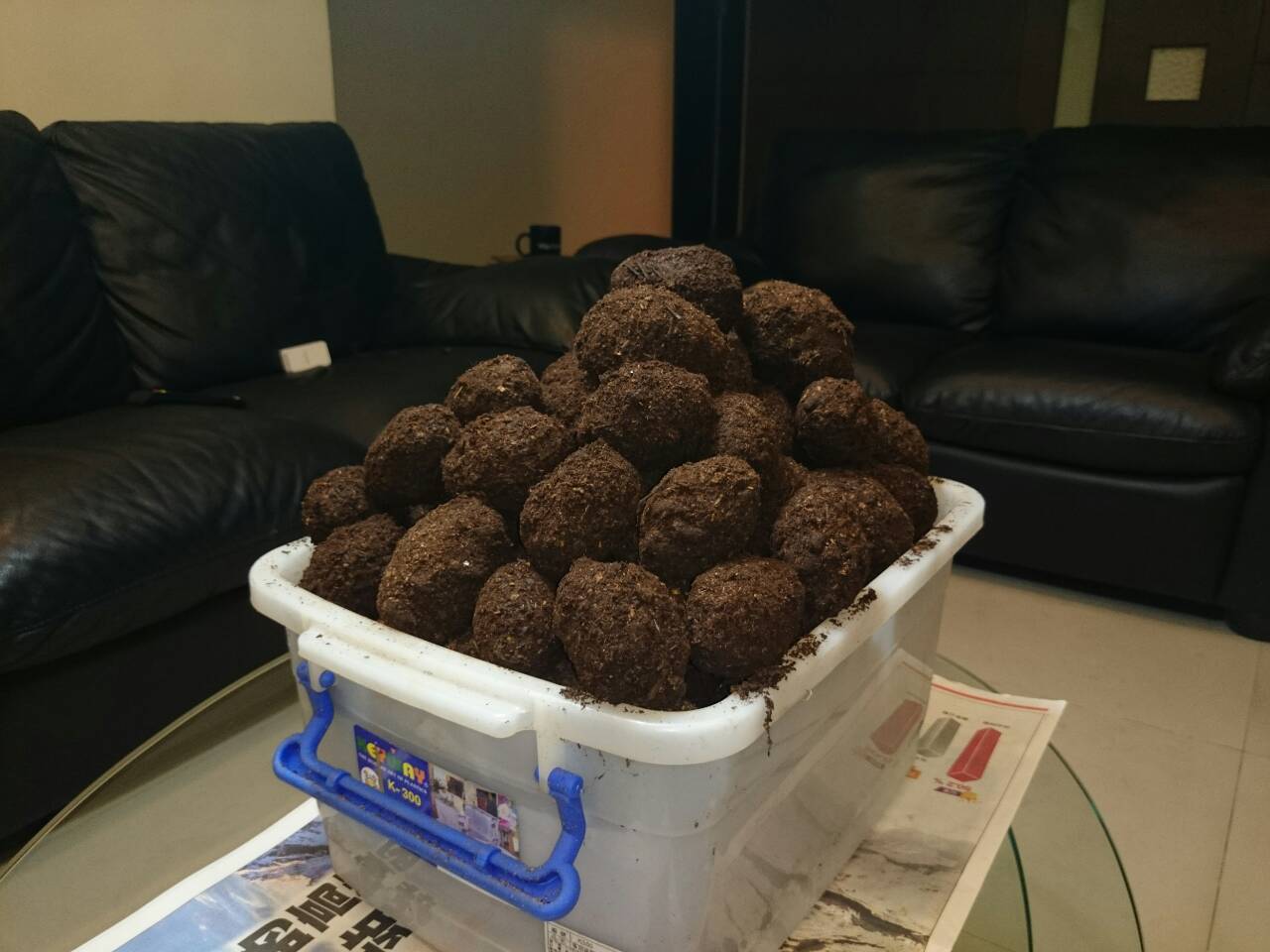 «ö¦¹¦b·sµøµ¡ÂsÄý¹Ï¤ù