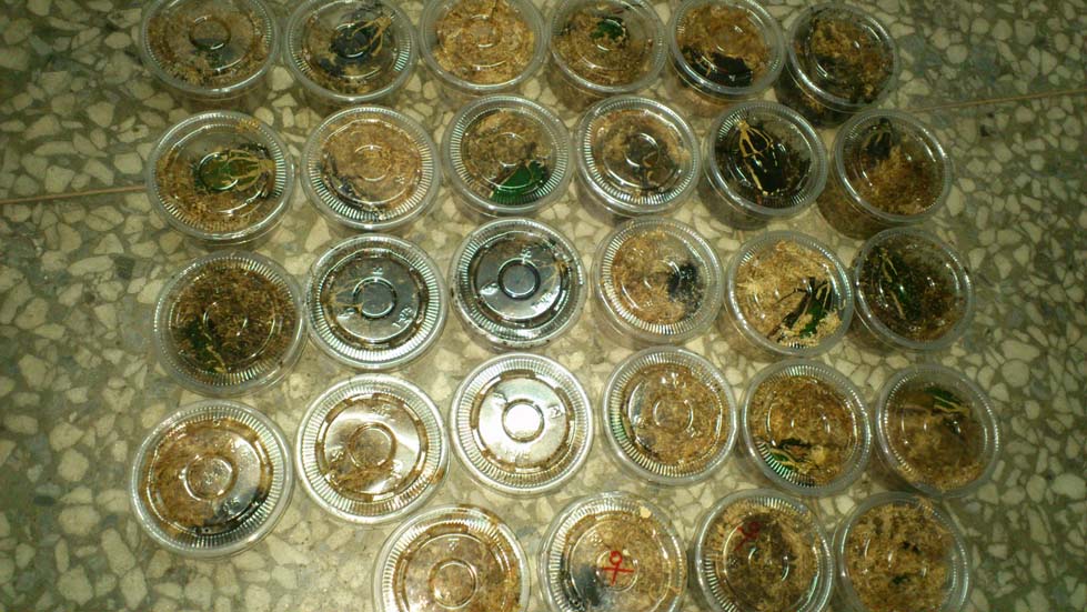 «ö¦¹¦b·sµøµ¡ÂsÄý¹Ï¤ù