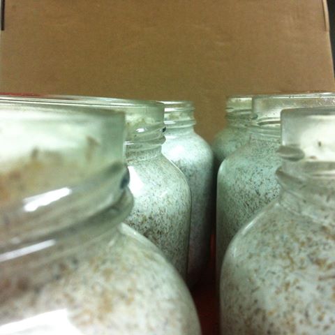 «ö¦¹¦b·sµøµ¡ÂsÄý¹Ï¤ù