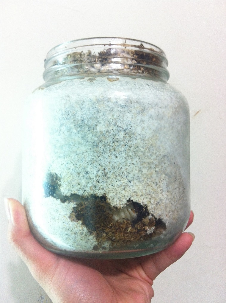 «ö¦¹¦b·sµøµ¡ÂsÄý¹Ï¤ù