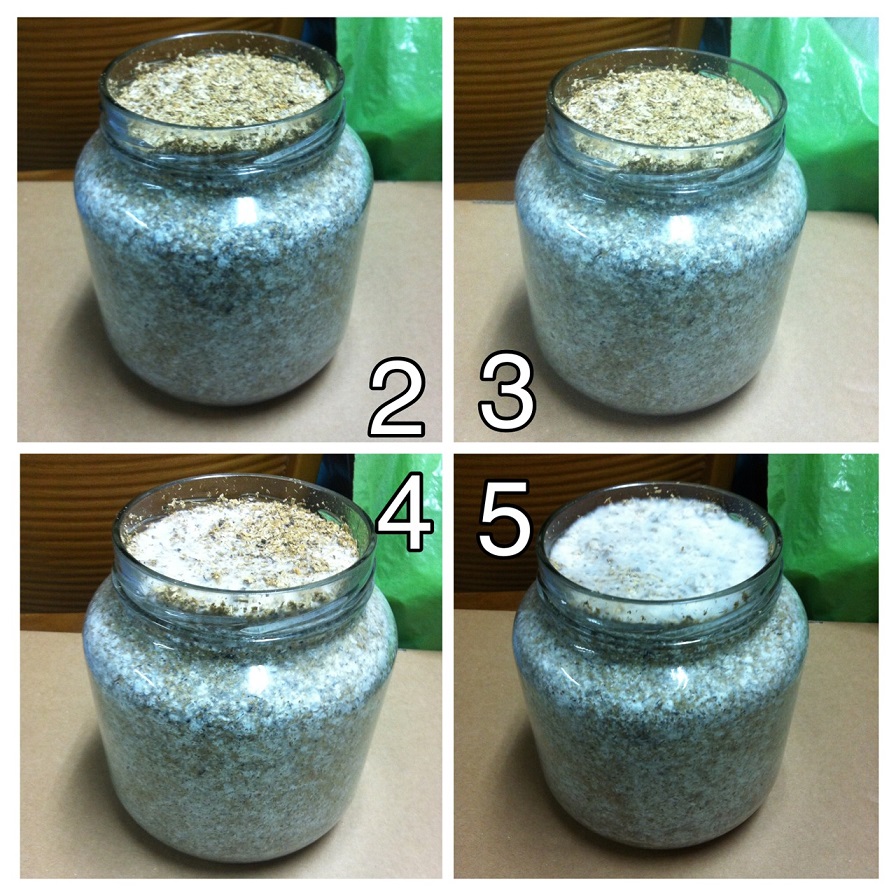 «ö¦¹¦b·sµøµ¡ÂsÄý¹Ï¤ù