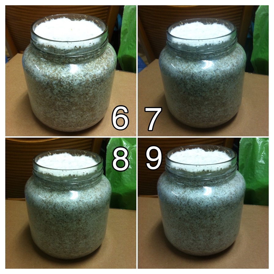 «ö¦¹¦b·sµøµ¡ÂsÄý¹Ï¤ù