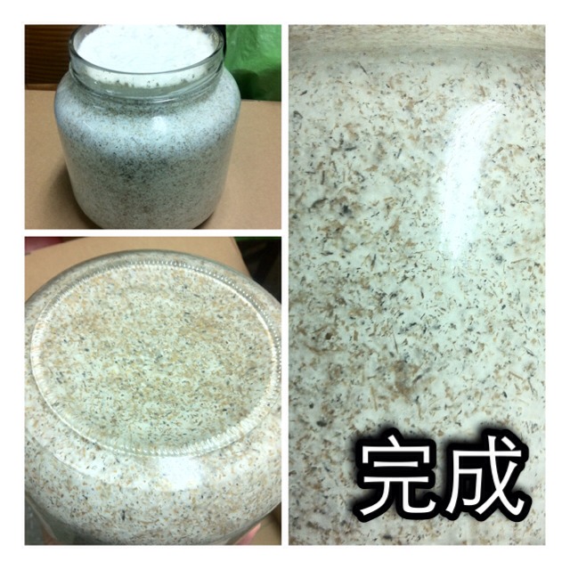 «ö¦¹¦b·sµøµ¡ÂsÄý¹Ï¤ù