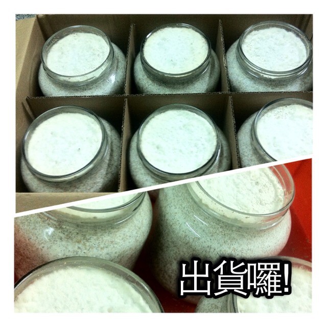 «ö¦¹¦b·sµøµ¡ÂsÄý¹Ï¤ù