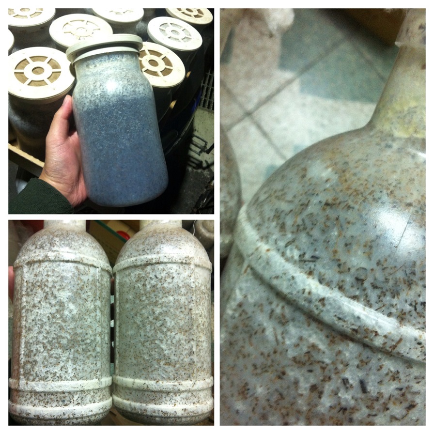 «ö¦¹¦b·sµøµ¡ÂsÄý¹Ï¤ù