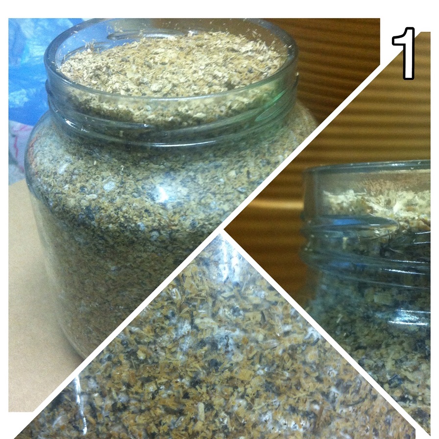 «ö¦¹¦b·sµøµ¡ÂsÄý¹Ï¤ù