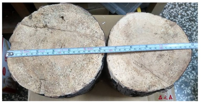 «ö¦¹¦b·sµøµ¡ÂsÄý¹Ï¤ù