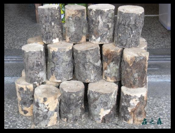 «ö¦¹¦b·sµøµ¡ÂsÄý¹Ï¤ù