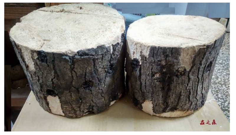 «ö¦¹¦b·sµøµ¡ÂsÄý¹Ï¤ù